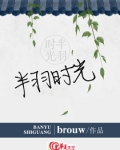半羽时光