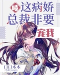 病娇总裁ing