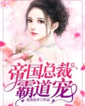 帝国总裁霸道宠完整版
