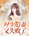 封少追妻路太长