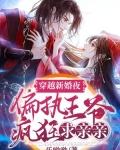 穿越新婚夜,偏执王爷疯狂求亲亲
