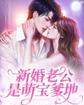 新婚老公是萌宝爹地