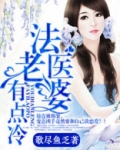 法医老婆有点冷免费读