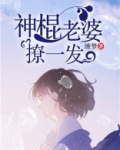我的神棍老婆免费阅读