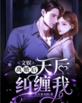 文娱:离婚后,天后纠缠我陆云