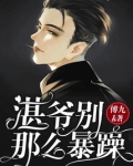 湛爷别那么暴躁