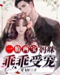 一胎二宝,妈咪哪里跑
