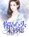 你是心头朱砂痣30章