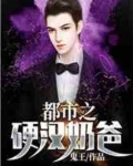 都市之硬汉奶爸 小说