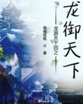 龙游天下四之龙御天下