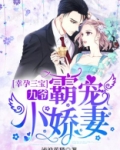 幸孕三宝 九爷霸宠小娇妻