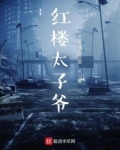 从红楼太子爷开始收录诸天小说