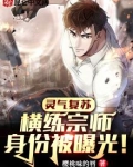 灵气复苏横练宗师身份被曝光宝贝小说网