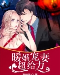 暖婚宠妻超给力