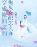 穿成修仙文里的炮灰男配的小说