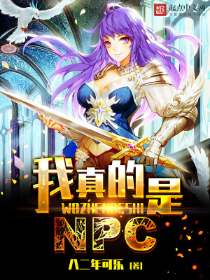 我真的是NPC