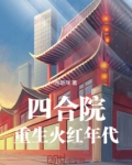 四合院重生火红年代小说