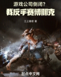 游戏公司倒闭我反手赛博朋克笔趣阁