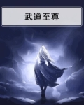 武道至尊王辰免费阅读