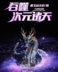 吞噬次元诸天