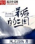 最后的三国