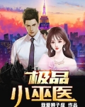 极品巫医陆丰的小说
