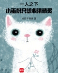 一人之下,小巫祝只想收集精灵怜君不得意