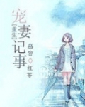 重生宠妻记事