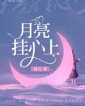 月亮挂心上小说讲述的什么
