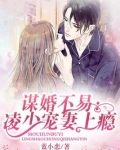 谋婚不易：凌少宠妻上瘾