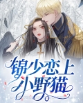 少锦小说