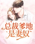 小说总裁爹地是宠妻奴