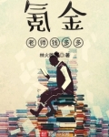 高氪金老师