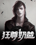 狂兵归来当奶爸