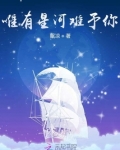 唯有星河入梦来前一句