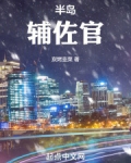 半岛领袖是谁