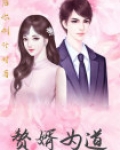 赘婿当道的