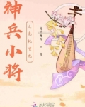 神兵小将之危机重现