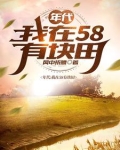 年代:我在58有块田