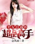 美女总裁的超品高手