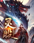 贵州百灵股