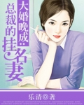 大婚晚成:总裁的挂名妻