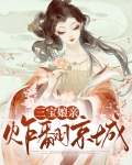 三宝娘亲炸翻京城下载