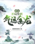 洪荒开局化身气运金龙