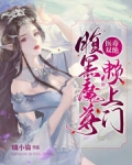 医毒双绝腹黑大小姐免费阅读