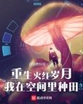 重生火红岁月,我在空间里种田起点