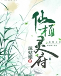 仙植灵府TXT下载