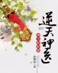 神魔医仙 南烟雨百度云