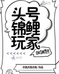 锦鲤头游戏