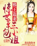 邪王追妻惊世全能医妃小说